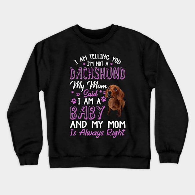 I Am Telling You I'm Not A Dachshund My Mom Said I'm A Baby Crewneck Sweatshirt by Xamgi